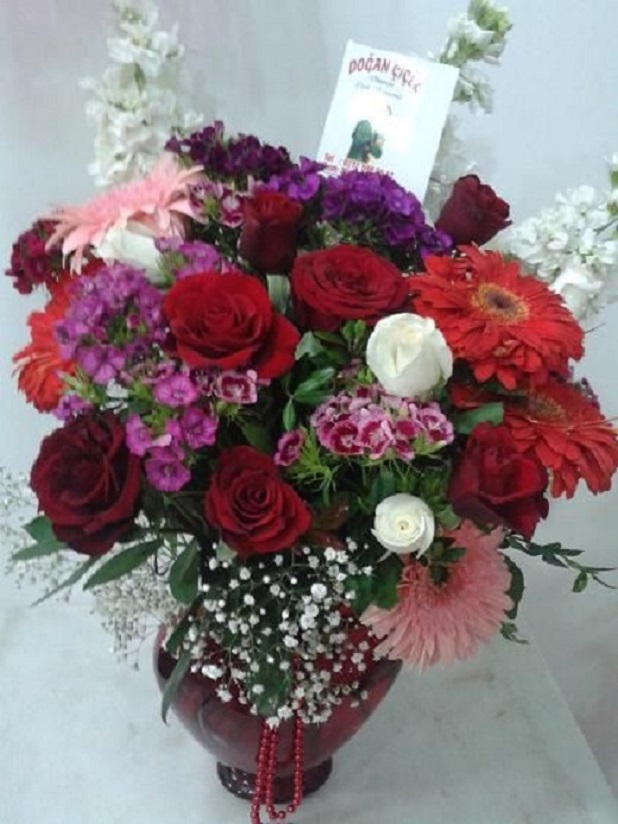 Gll Arajman