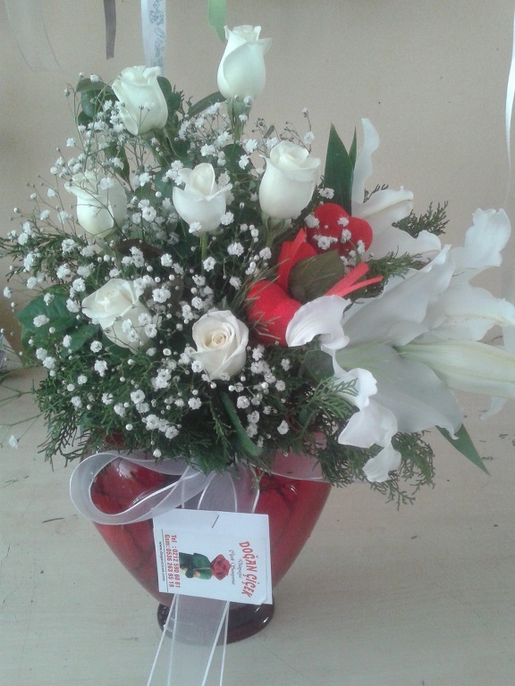 K.Vazolu Lilyum ve Gller