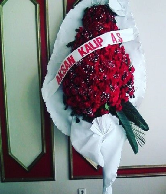 Karanfil ELENK