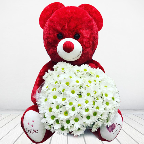 Krmz Ay Papatya Buketi