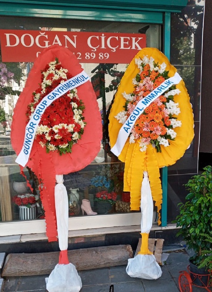 En Gzel elenkler
