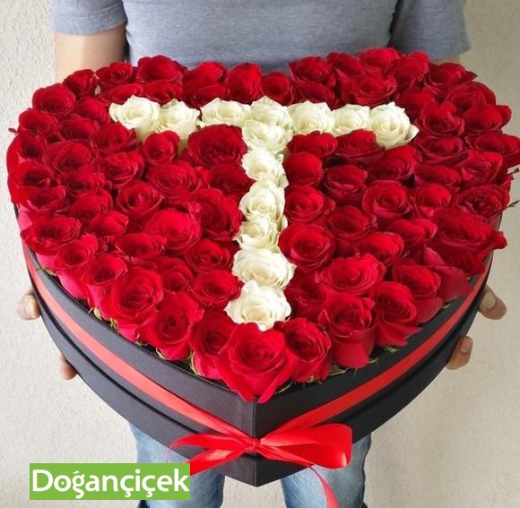 Kutuda T Harf iek