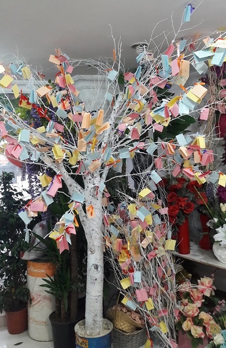 D�LEK A�ACI K�RALA