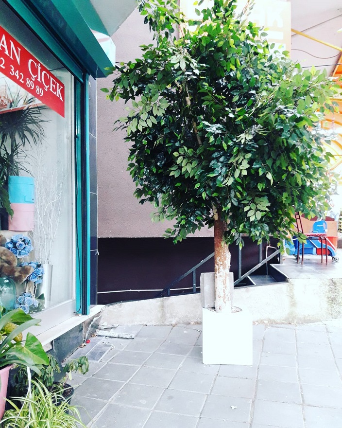 DEV BENJAM�N A�ACI