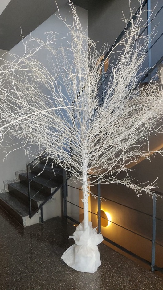 Dilek Agac� �malar Kiralama ve say��