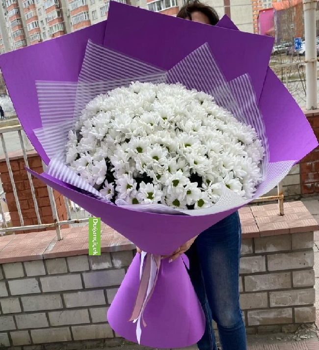 Do�um G�n� �i�e�i 4