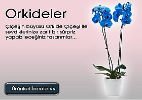 parseller
